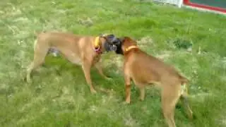 urko et bao baton.3gp