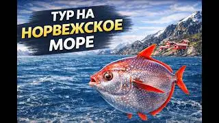 Норвежское море | Новый тур и интересные уловы 🎣