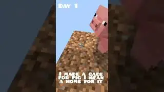 Minecraft But OneBlock Day 1