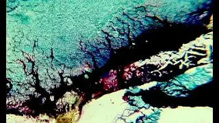So Many Great Things Come from Wilson - a meditation in film decay