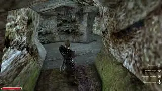 Готика Мрачные тайны прохождение №40 Альмнах, черные гоблины - мне их не победить