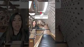 these libraries are next level 😍 where's your fave library?#GoogleArtsandCulture