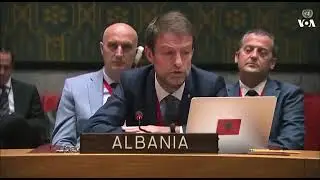 Боевые комары Украины. Представитель Албании при ООН троллит российских нацистов.