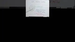 nerve supply of external auditory canal #surgeryeducation