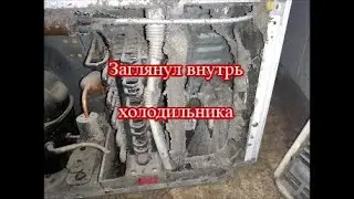Сломался холодильник. Смотрим, что внутри.