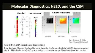 Natural Source Zone Depletion  An Important Concept for the Management of Petroleum and LNAPL Contam