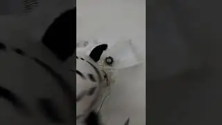 made in china