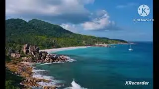 мы родились в сибири// Лелик,все пропало🤣//обзор канала