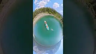 The 