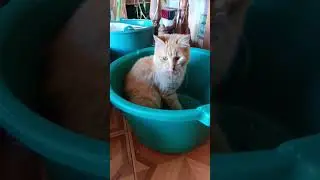 Игры...
