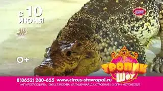 Тропик шоу в Ставрополе