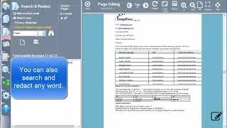 Redacting sensitive and private data