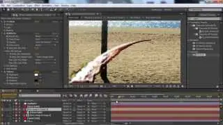 Newton Liquid Tutorial