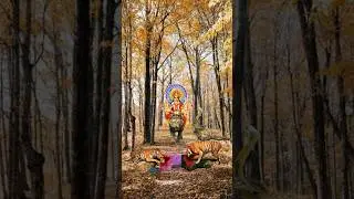 Son Of Tiger 🐯 Viral short video 2023 #avatar #2023 #trending2023 #reels #trend2023 #short2023