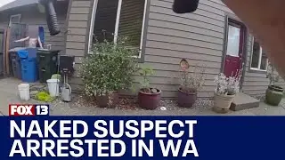 Naked suspect flees from WA deputies, arrested in garbage can | FOX 13 Seattle