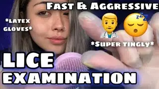 ASMR| Fast & Aggressive Lice Examination 🧐🥼 (super tingly, with latex gloves✨) - LOFI