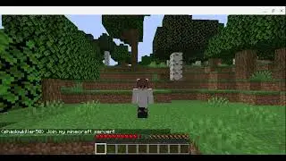 Diamond SMP join now! all versions cracked