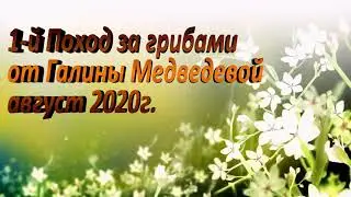 1 й поход за грибами, август 2020г.