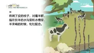 【宣读圣经职场行 20】：雅各得到财富