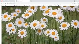 Slider Otomatis Dengan Javascript HTML dan CSS