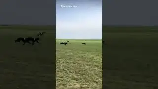 We are going to Training today