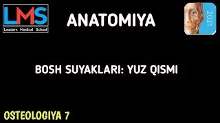 BOSH SUYAKLARI: YUZ QISM