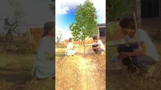 Vfx tree , door, jumping majic video kinemaster editing #funny @RanaMunir @mrdshortschannel.0