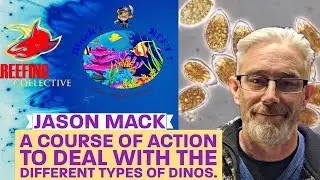 This week we will be discussing all about dinoflagellates and how to combat them.