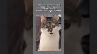 Новенький на первом созвоне