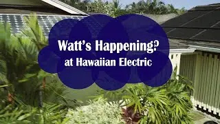 Watts Happening? at Hawaiian Electric: Episode 2 - Preparing for Emergencies