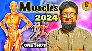 Muscles | One Shot Lecture