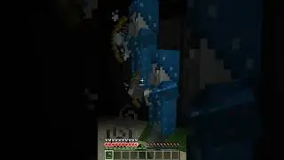 hidden mob minecraft (illusioner) 