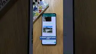 Ora l’invio di foto in HD su whatsapp è per tutti