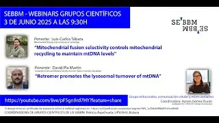 Webinar Grupos científicos de la SEBBM: “Grupo mitocondria, comunicación celular y estrés oxidativo