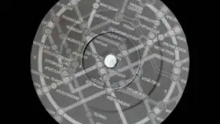 Neil Landstrumm - The Fool