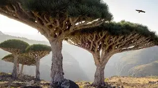 Top 10 Strangest Places In The World