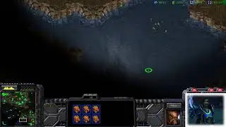 Newbie in SC1: Team FFA with AI ｜菜雞星海: AI 互啄