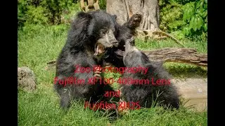 Fujifilm XF100-400mm Lens and Fujifilm XH2S