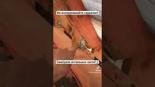 Косячные плотники 1