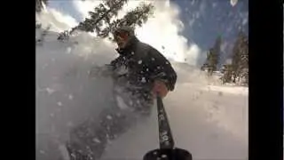 Shred Homewood