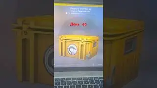 День 40 открытие кейсов кс го выпал нож наваха #csgo #кейсы #ксго #cheatcsgo #csgomemes #литвин