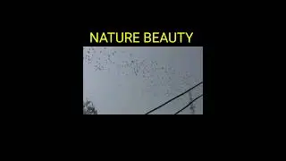 NATURE BEAUTY #shorts