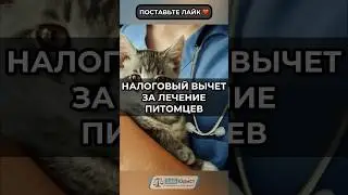 Инициатива: Налоговый вычет за лечение питомцев #забюрист #юрист #животные #лечение #ндфл