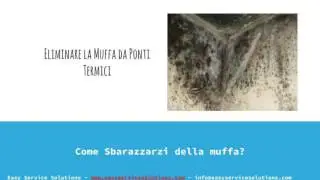 Eliminare i Ponti Termici Muffa e Umidita