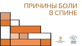 Причины боли в спине