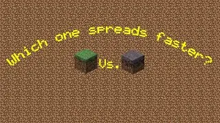 Grass vs Mycelium race