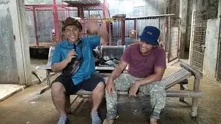 PUPPY BRED BY BANG HANDOCO | RAIDING THE KENNELS OF TEAM PUTRA CILEMBANG, TASIKMALAYA CITY