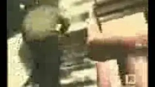 SI SEÑOR