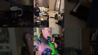 Limón The Cat Jams