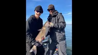 Giant catfish #Clearlake #UrbanBassSlayers #PaulBailey #catfish